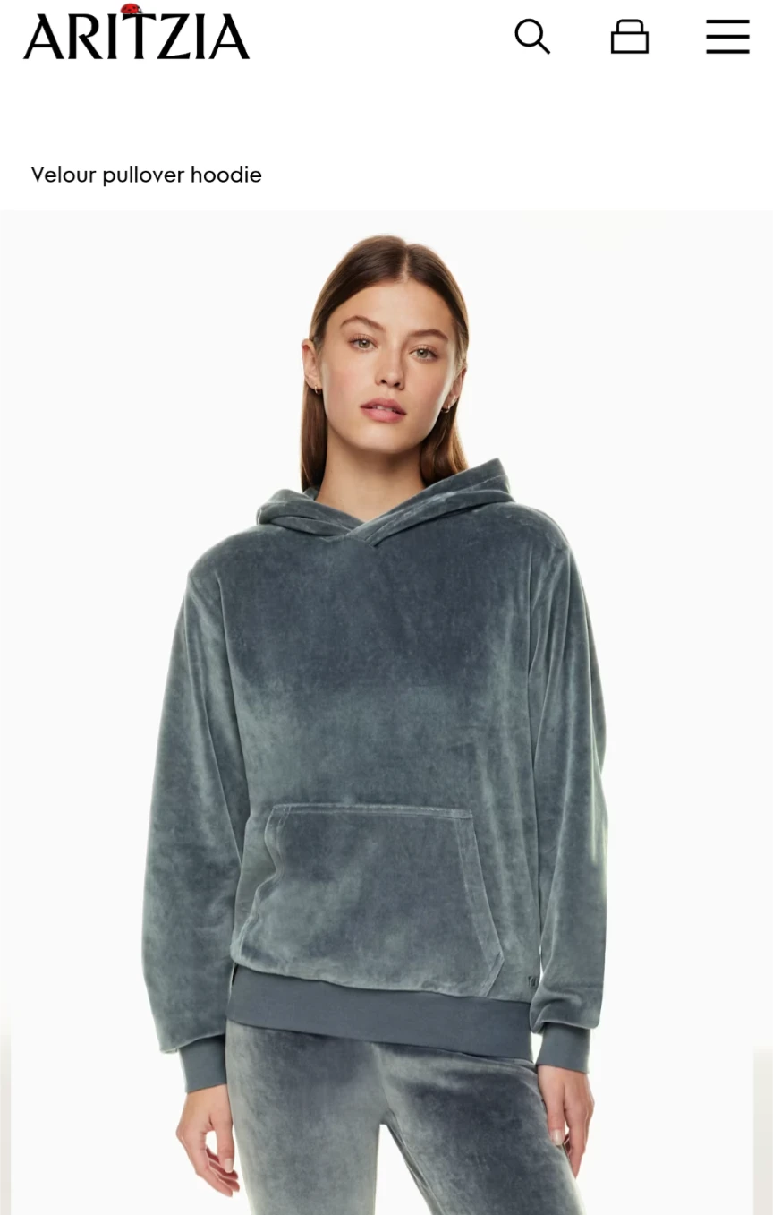 TNA Grey Velour Hoodie and Pants