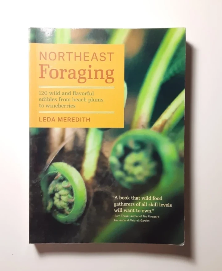 Northeast Foraging