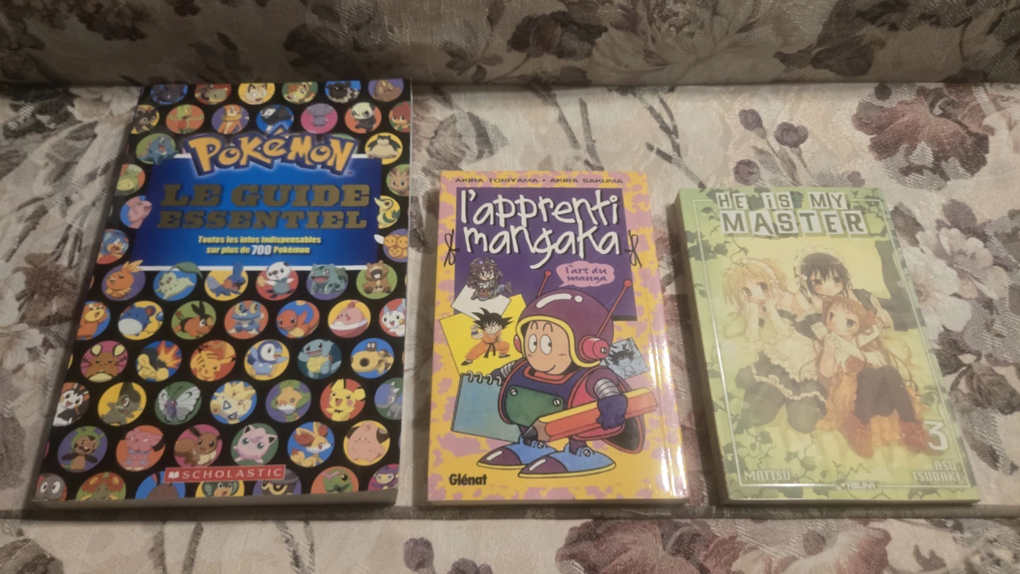 Lot de mangas et livres - photo 3