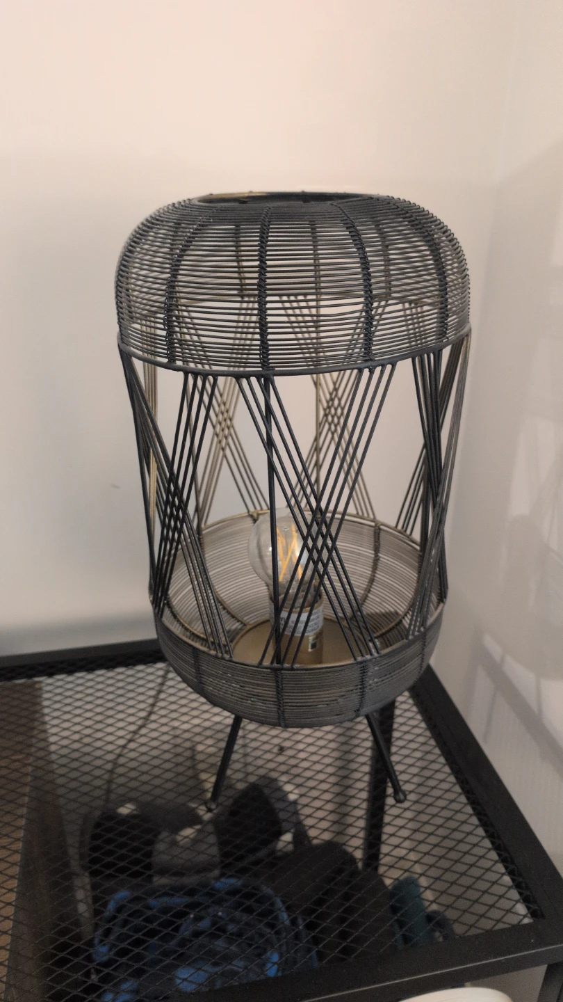 Wire Cage Table Lamp