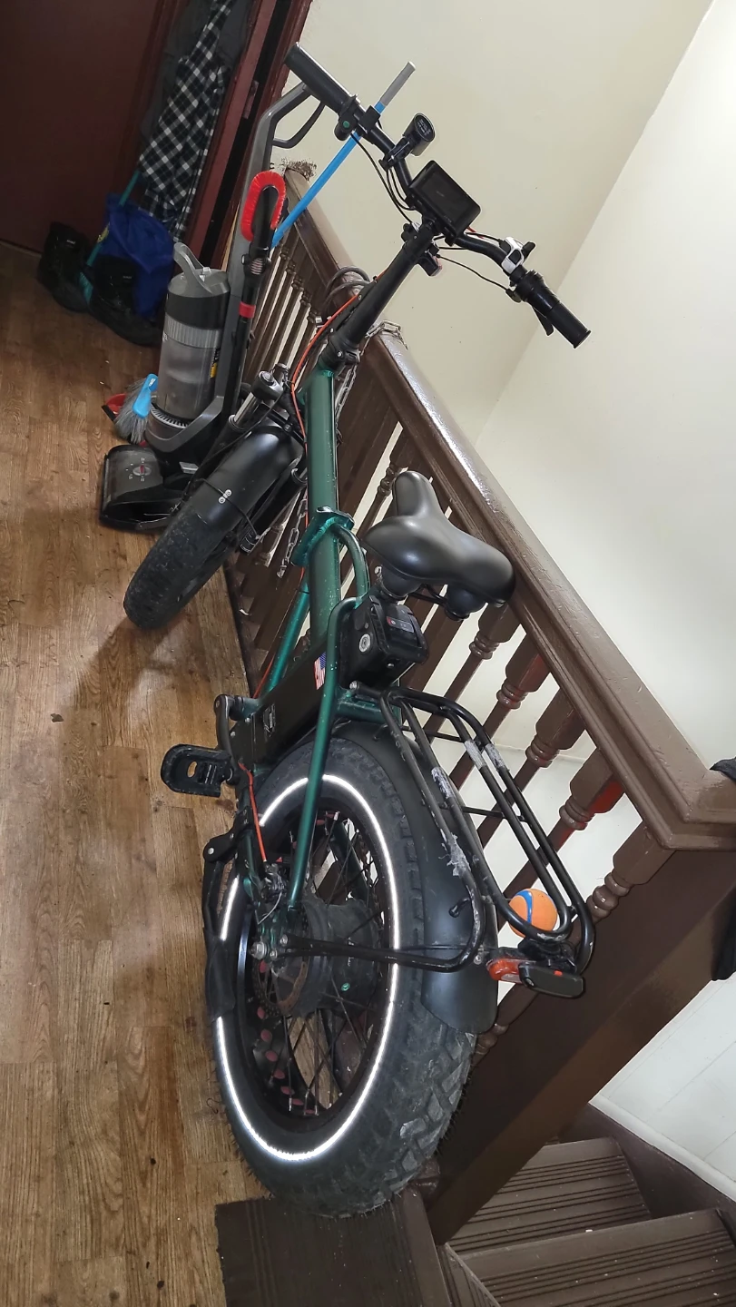 Green Fat Tire Electric Bike