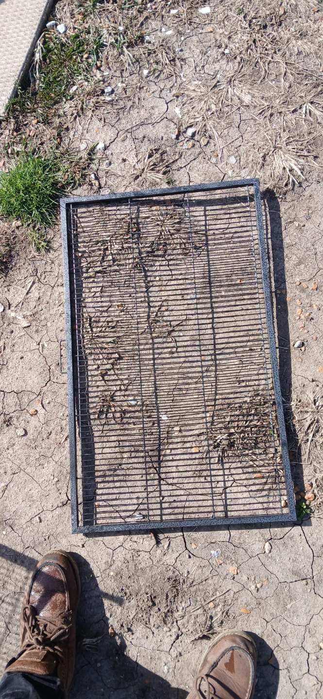 Large Metal Bird Cage - photo 3