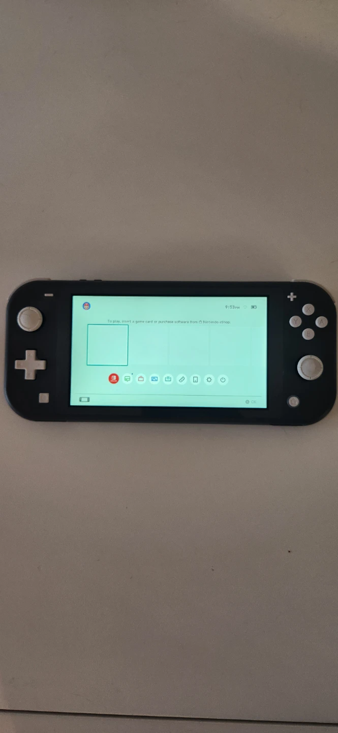 Nintendo Switch Lite - Grey