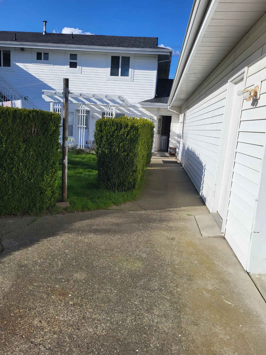 1 bedroom basement suite for rent - photo 3