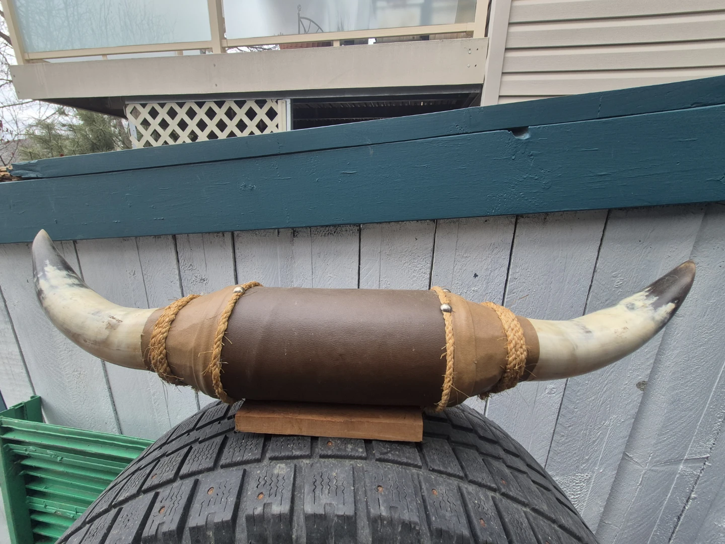 Decorative Bull Horn Mount - photo 2