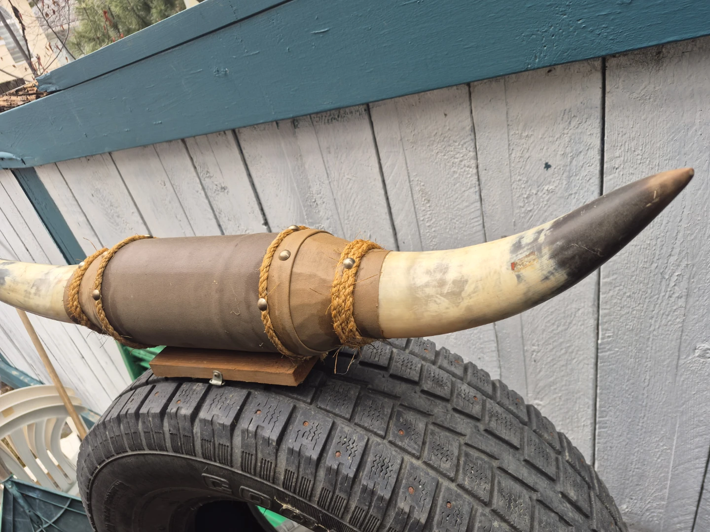 Decorative Bull Horn Mount - photo 4