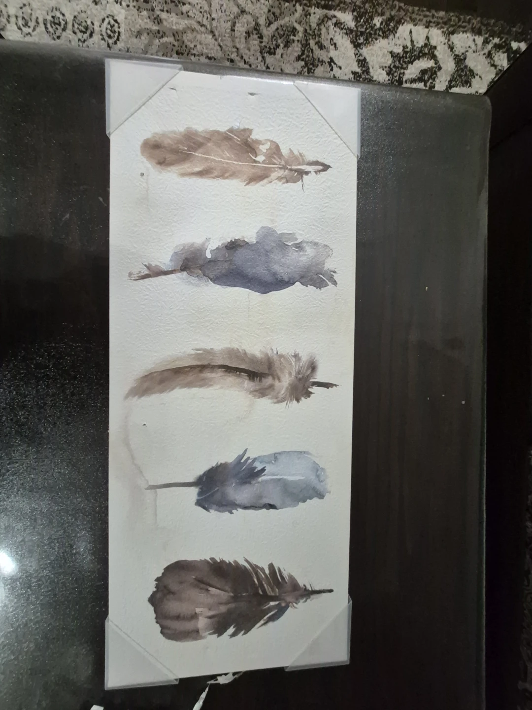 Watercolour Feather Art Print