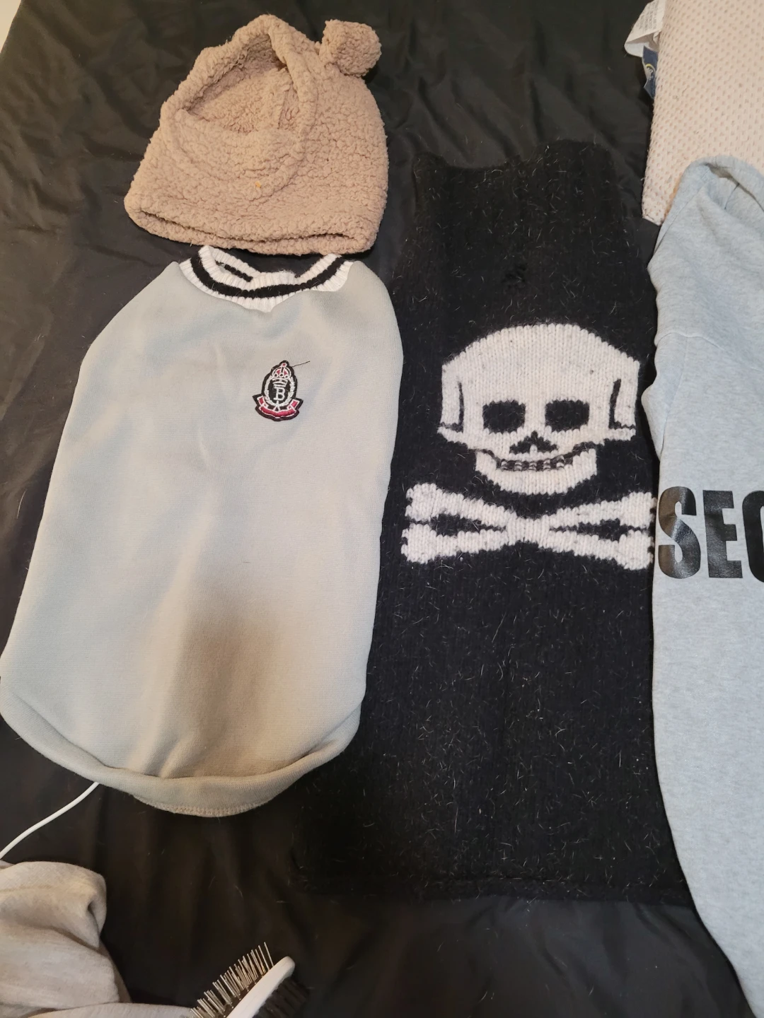 Assorted Pet Clothing Bundle
