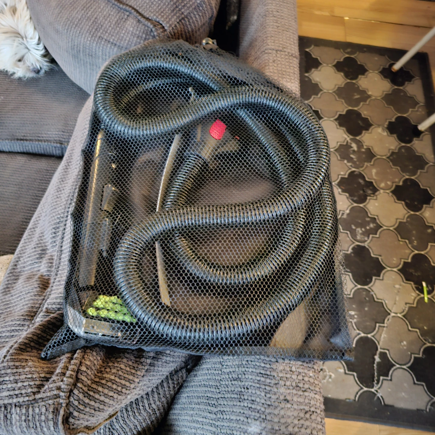 Bissell PowerClean PowerFan Carpet Cleaner - photo 2