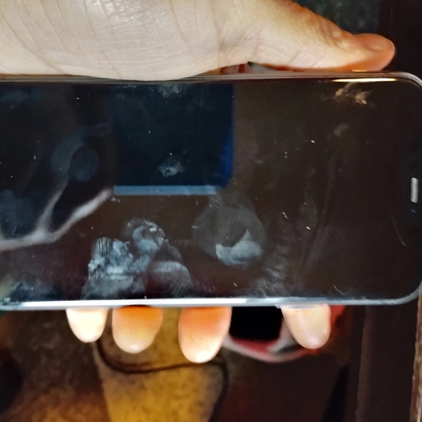 Apple iPhone 11 - photo 2