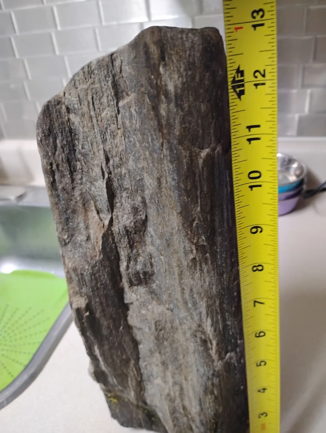 Large Petrified Wood Specimen - photo 2