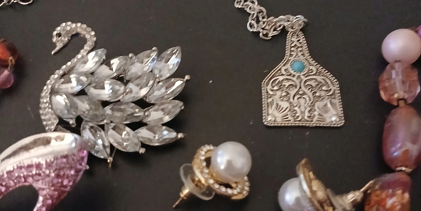 Assorted Costume Jewellery - Brooches, Necklaces, and Earrings - photo 2