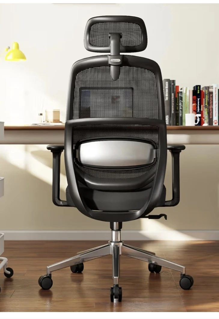 Quelsoft Ergonomic Office Chair with Adjustable Lumbar Support