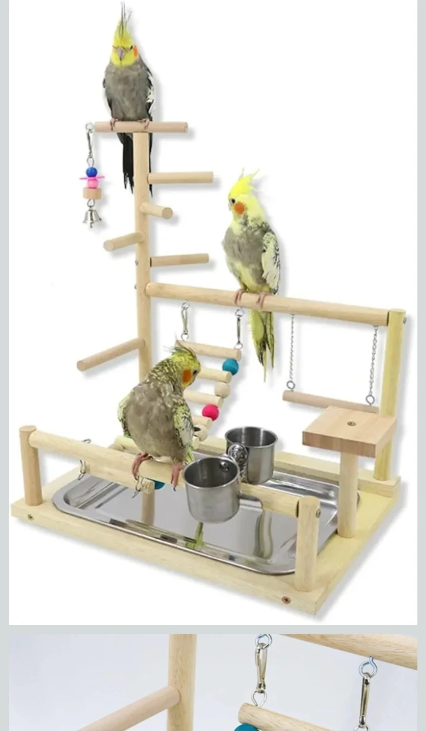 New Parrot Playground Perch - Interactive Swing, Climbing Ladder