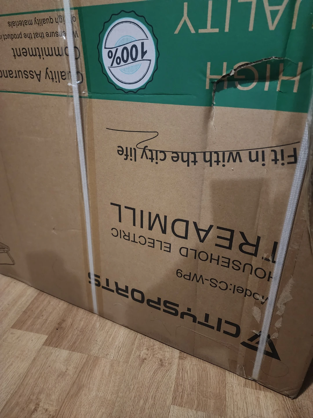 CitySports Household Electric Treadmill CS-WP9