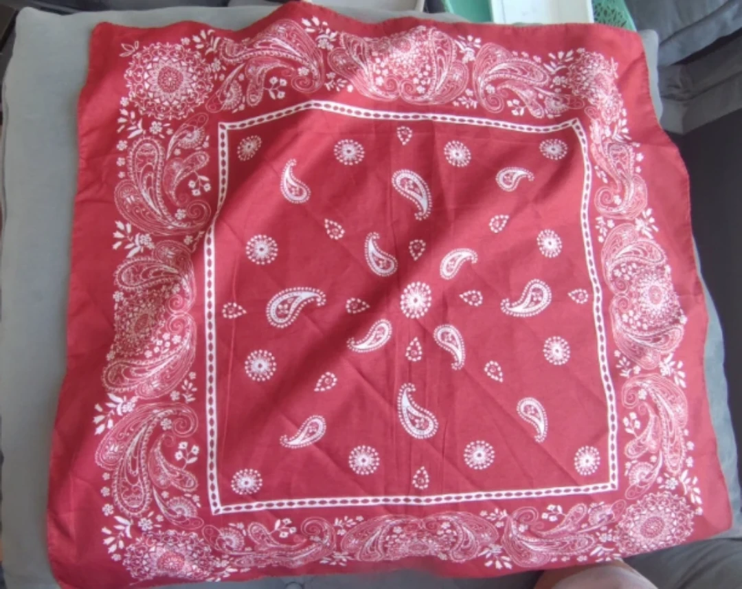 Red Paisley Bandana