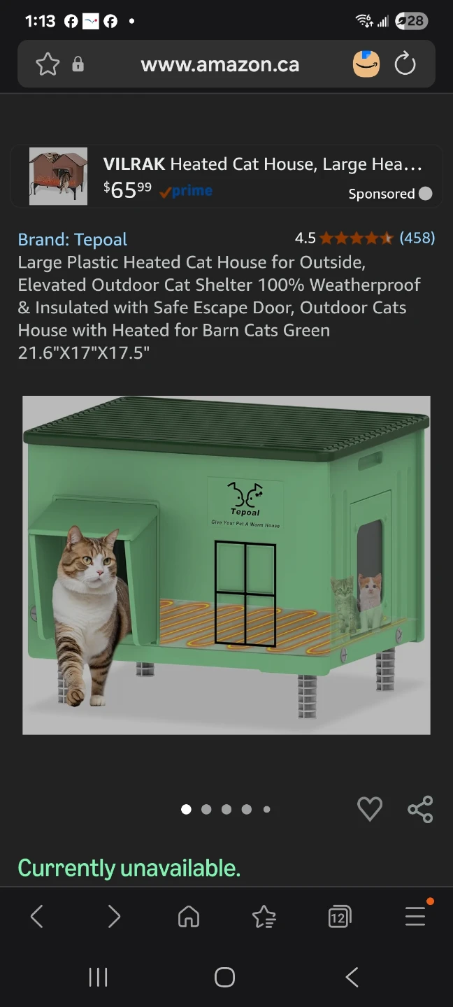 VILRAK Heated Cat House, Large, Green