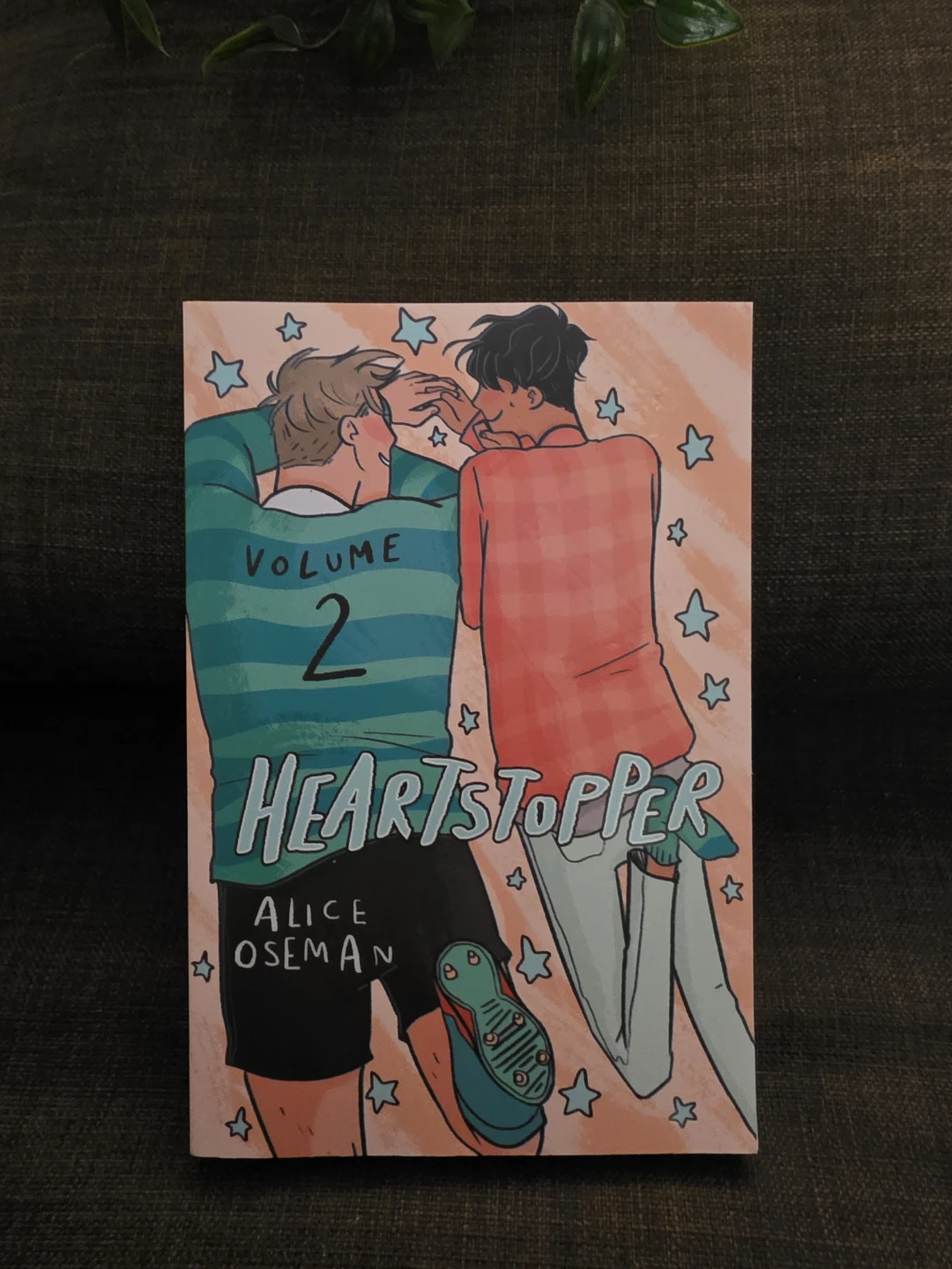Heartstopper Volume 2