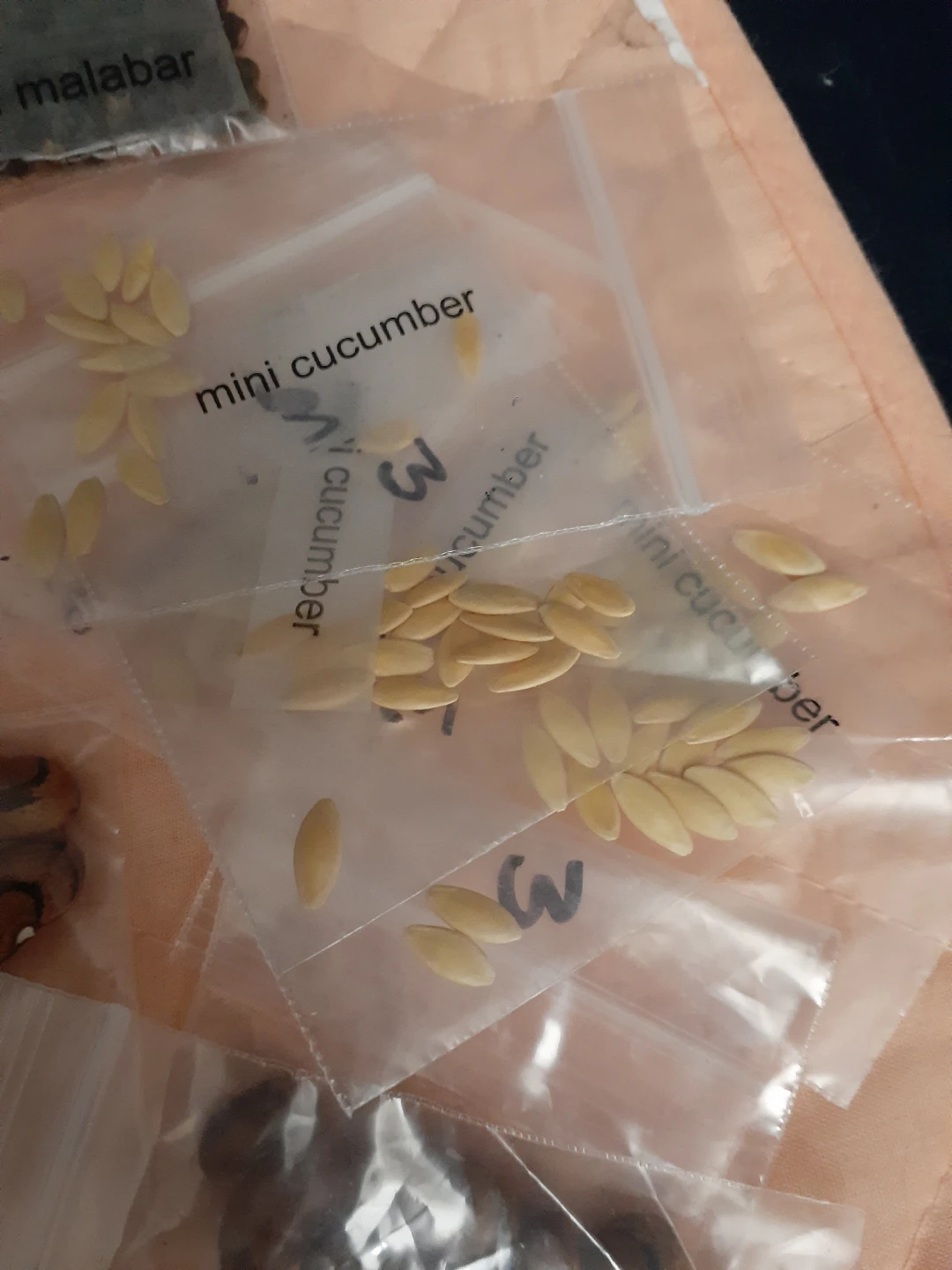 Vegetables seeds - photo 4