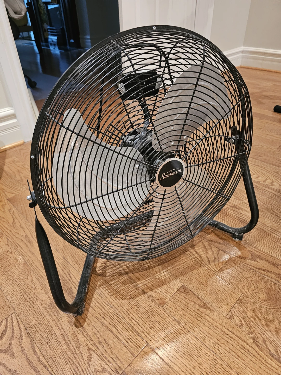 Sunbeam Black Metal Floor Fan