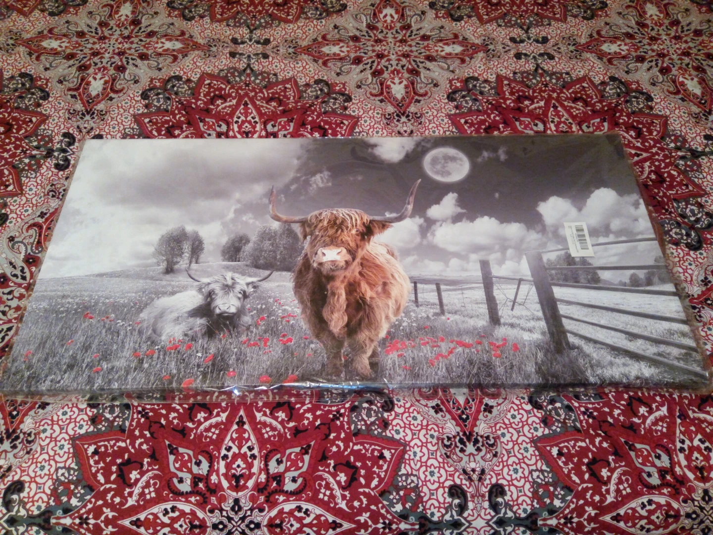 Highland Cow Wall Art