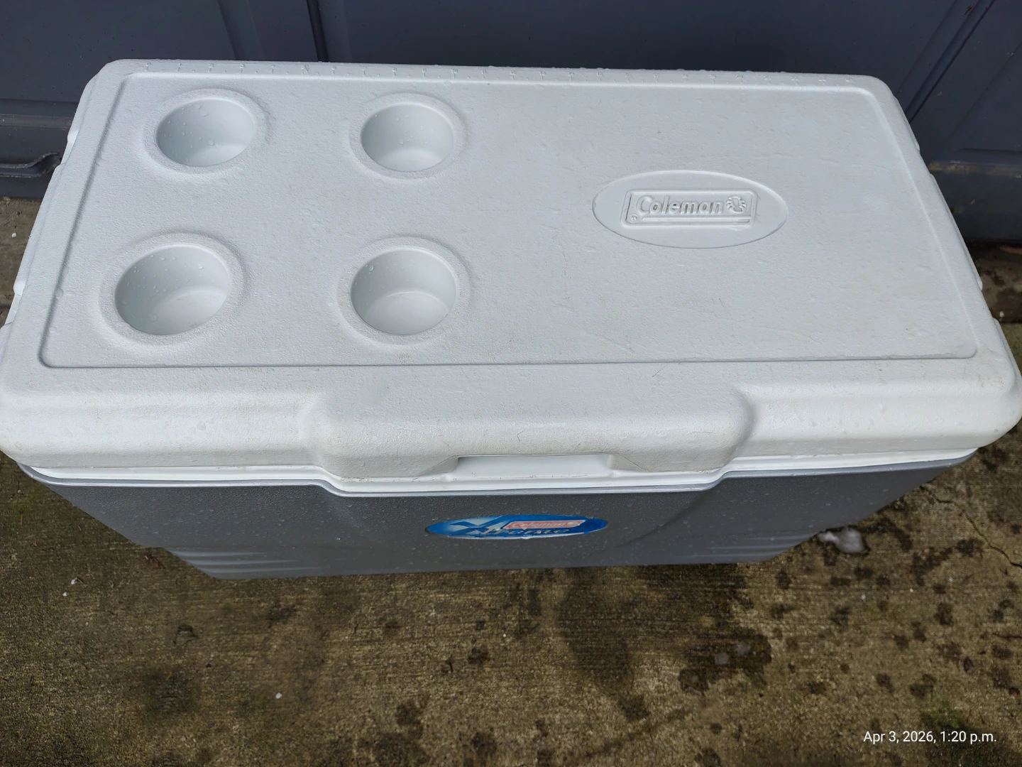 Coleman 60qt Extreme 5 Day Cooler with Drain