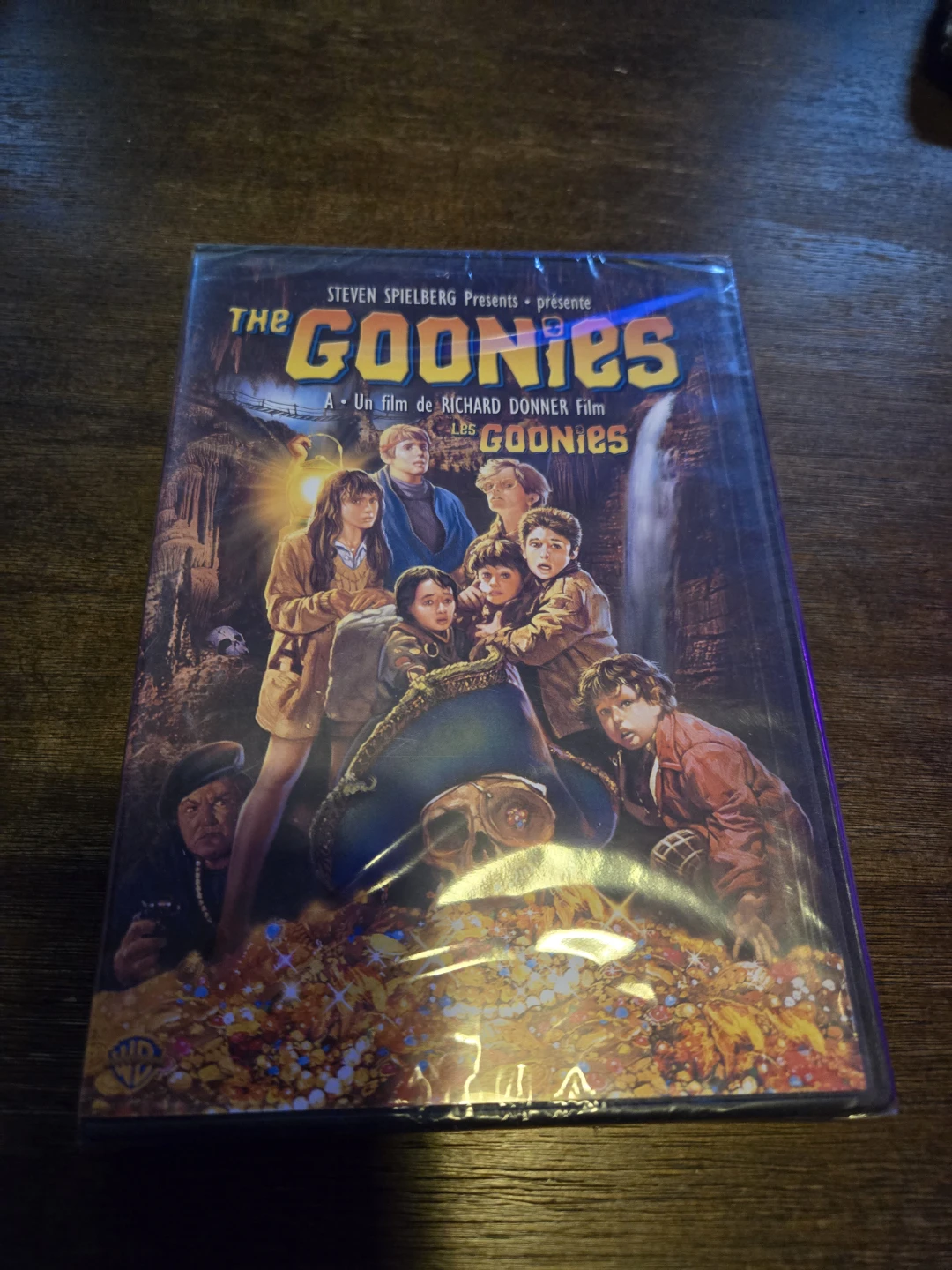 The Goonies DVD