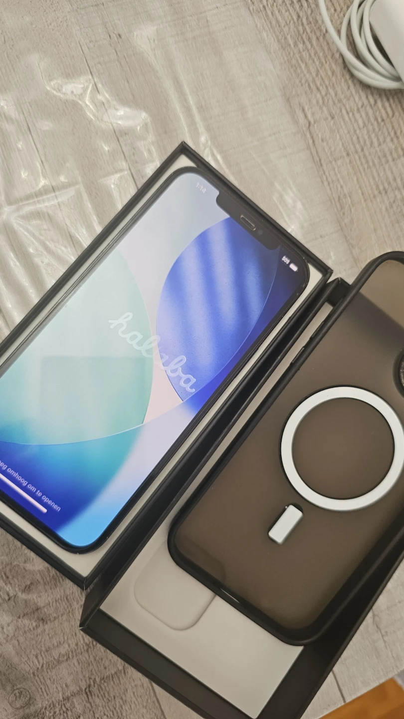 Apple iPhone 12 Pro Max Pacific Blue - photo 4