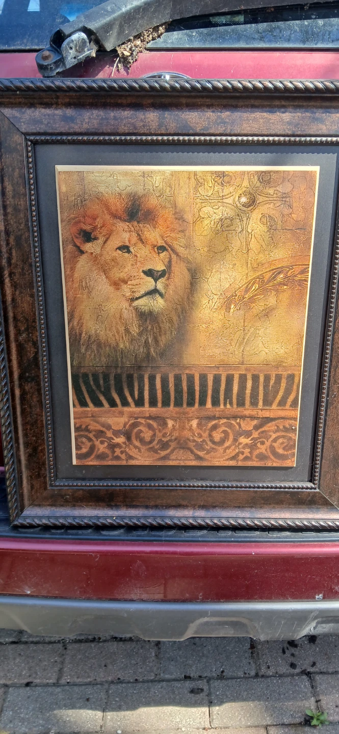 Framed Lion Wall Art