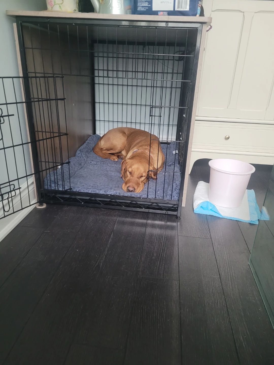 Dog Crate - photo 2