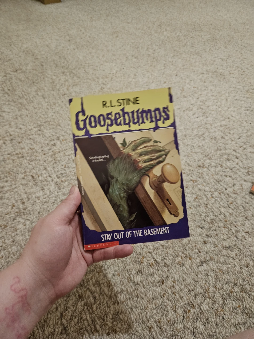 more all kind of books - photo 5