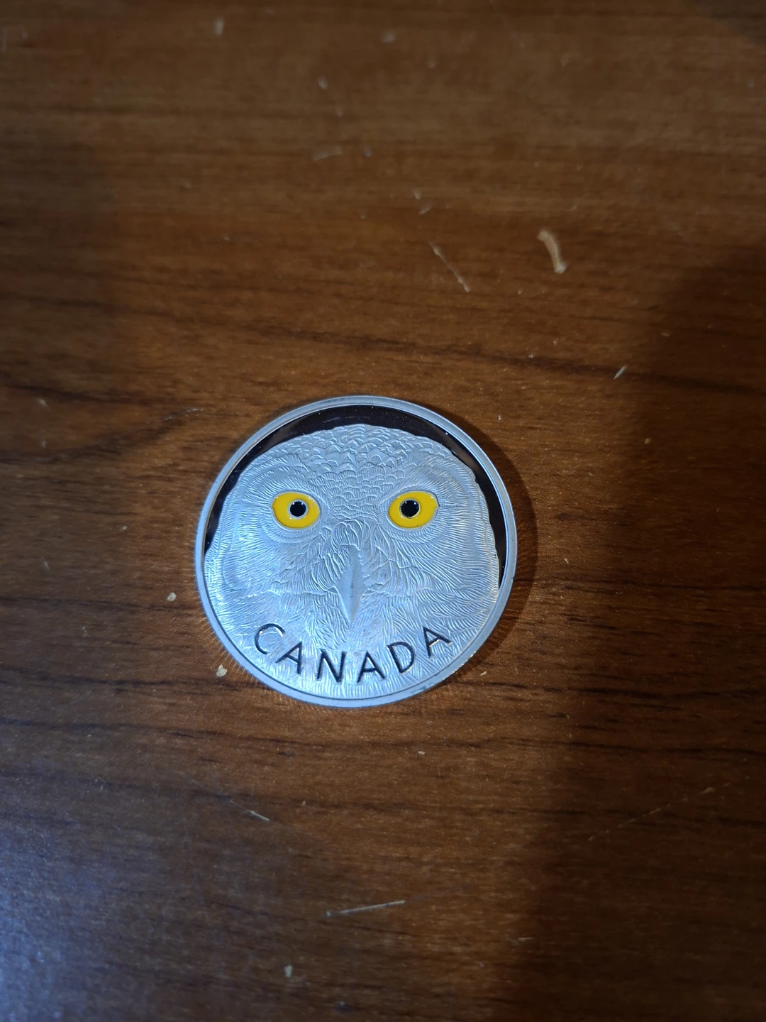 2014 Canada Coin - Snowy Owl