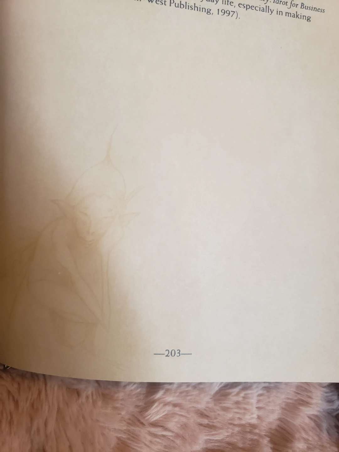 Brian Froud's The Faeries' Oracle Cards and Book - photo 5