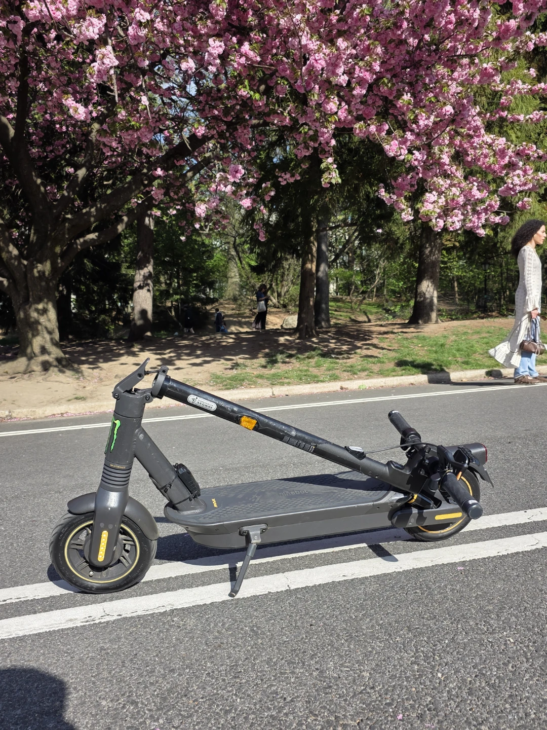 Segway Ninebot G2 Electric KickScooter - photo 3