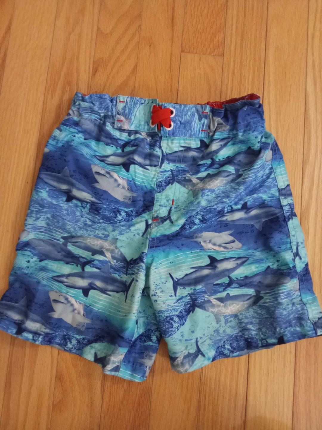 Shark Swim Trunks Size 5