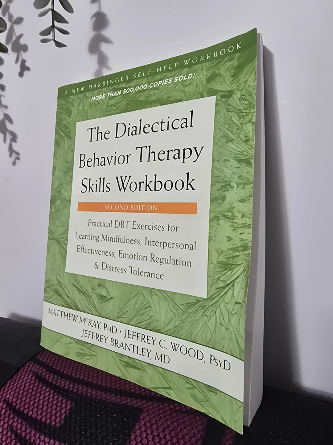 The Dialectical Behavior Therapy Skills Workbook Second Edition
