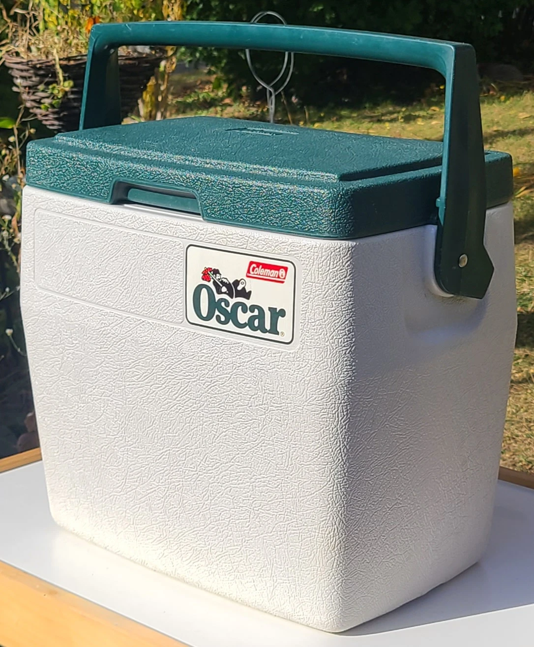 Coleman Oscar 16qt Cooler - Spotless Like New!