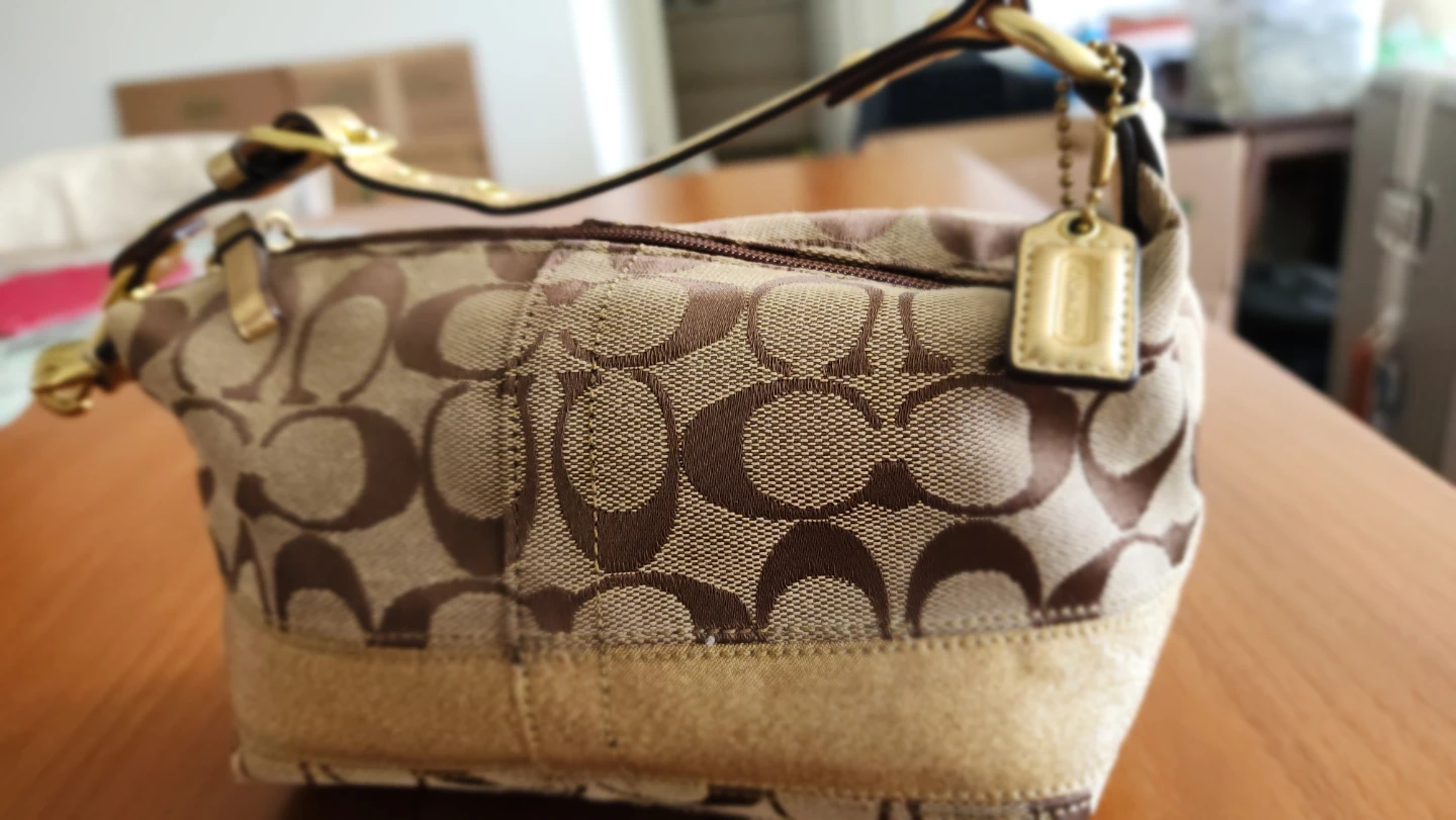 Coach Signature Canvas Hobo Bag