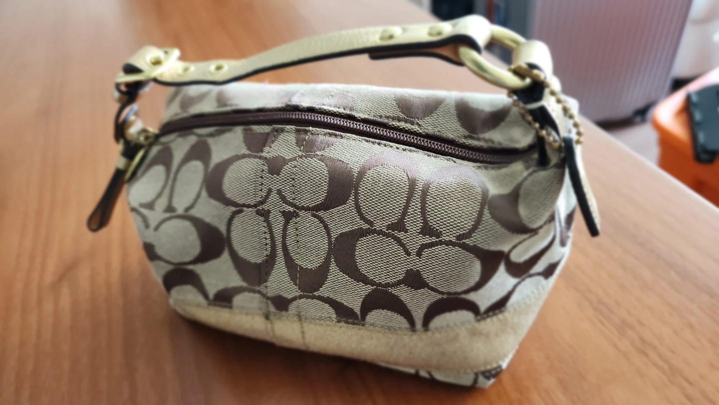 Coach Signature Canvas Hobo Bag - photo 5