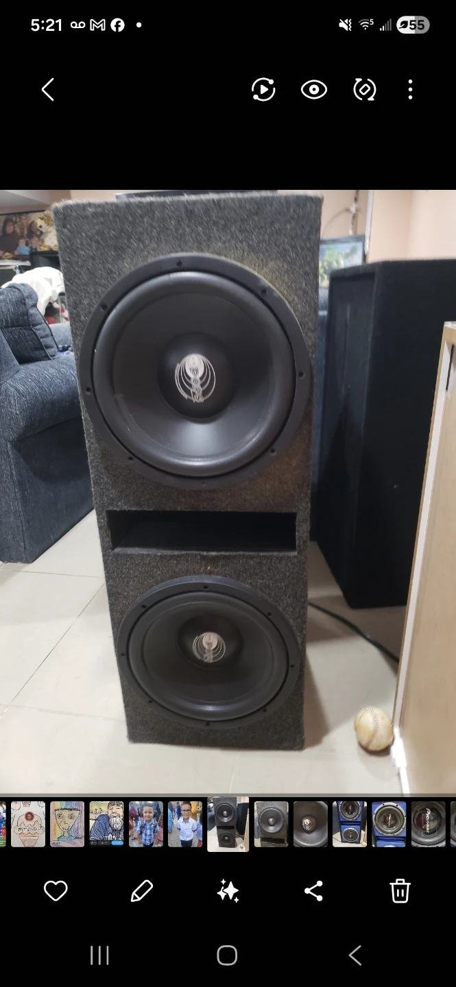 BOSS Dual 12-Inch Subwoofer with Enclosure - photo 2