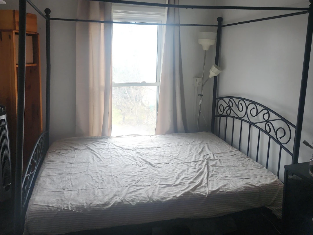 Black Metal Canopy Bed Frame