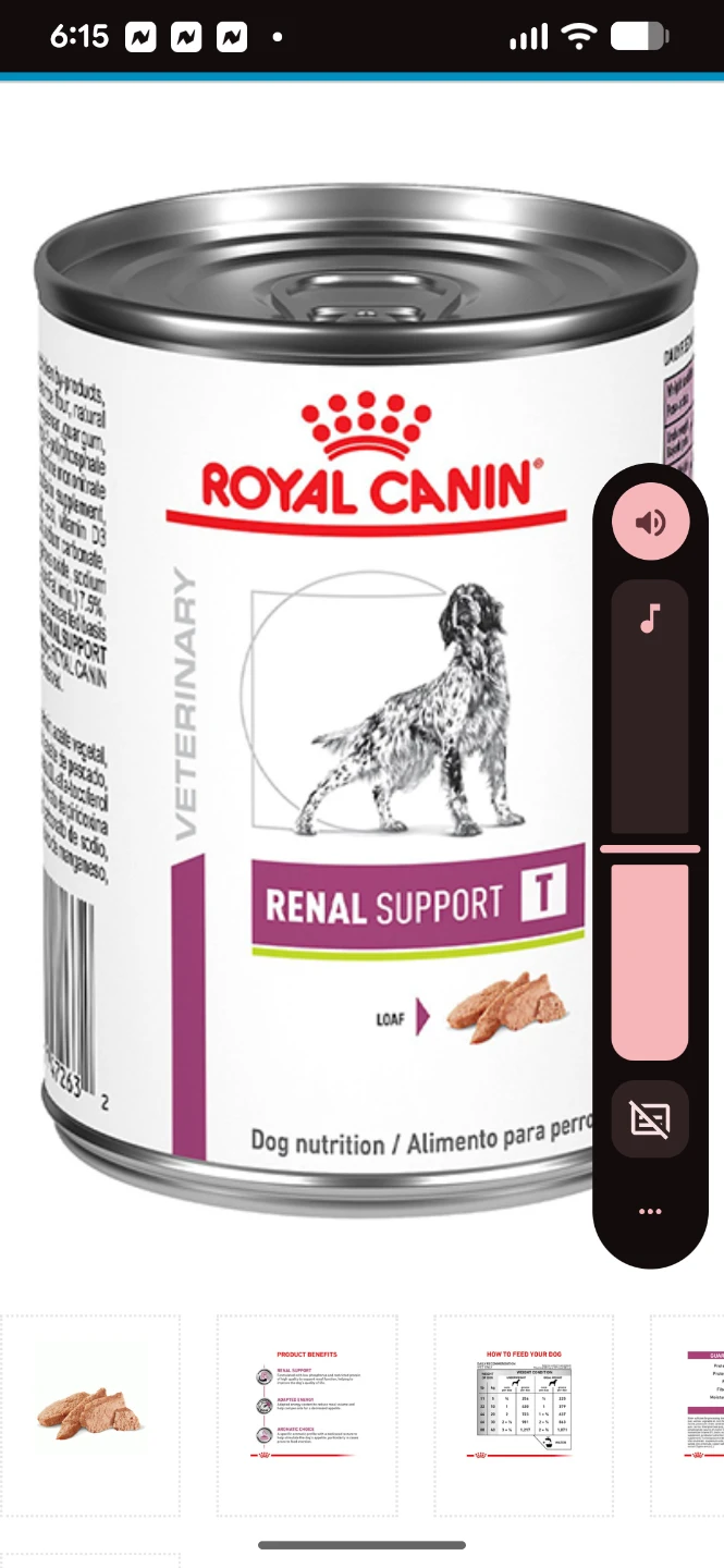 Royal Canin Veterinary Renal Support T Dog Food 12.4 oz Can