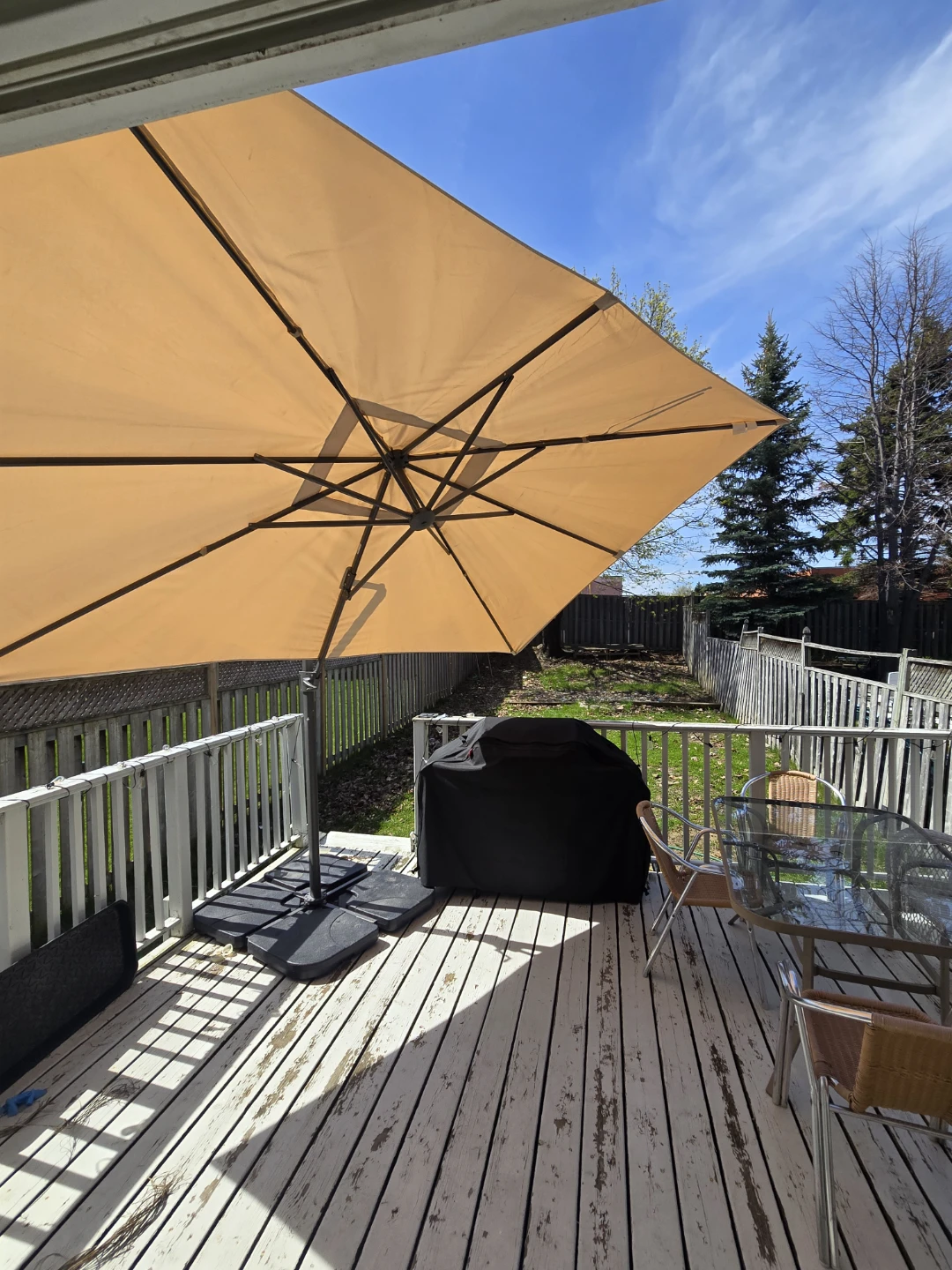 Large Patio Umbrella