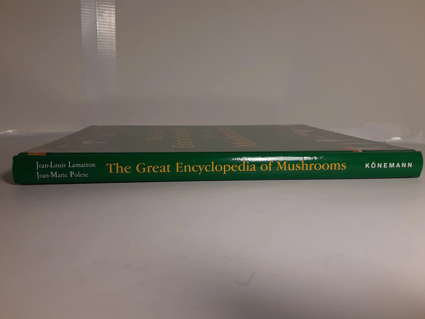 The Great Encyclopedia of Mushrooms - photo 2