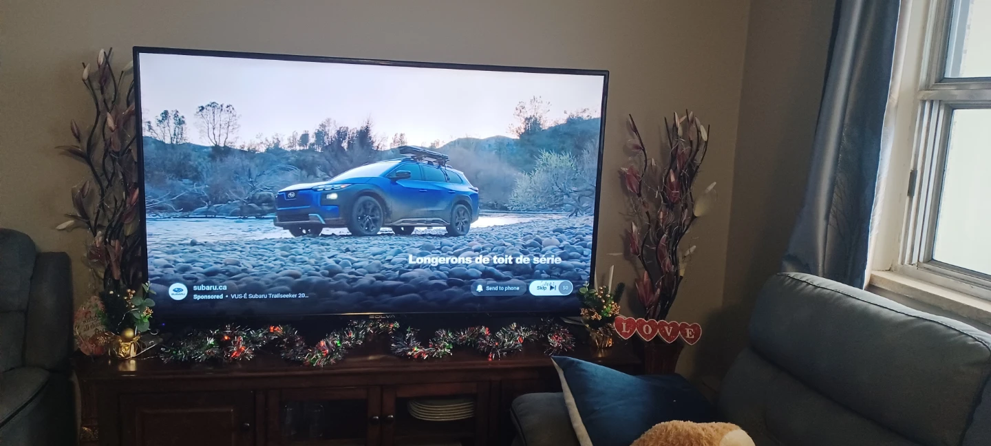 BOLVA TV Screen - photo 3