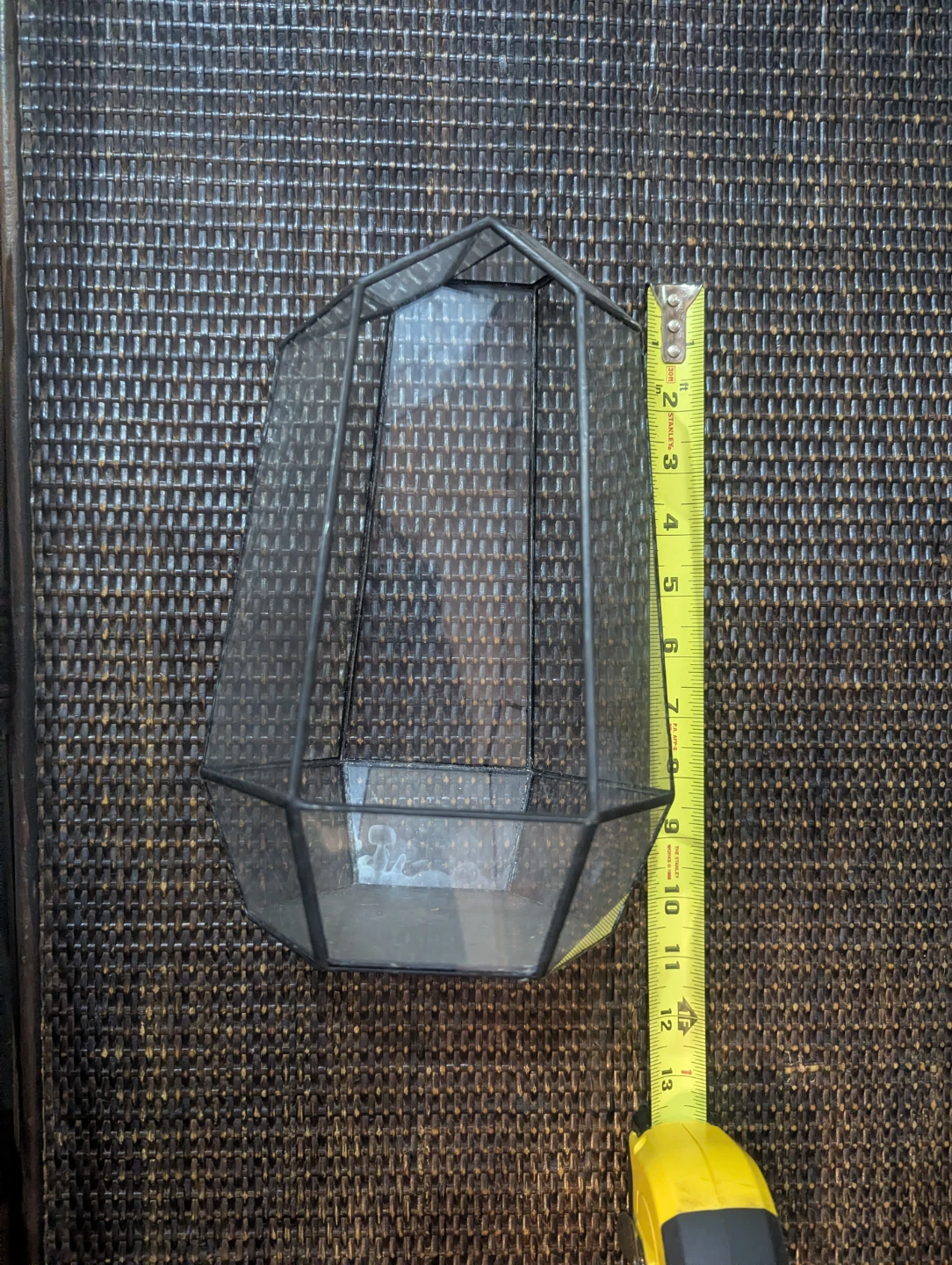Glass terrarium.