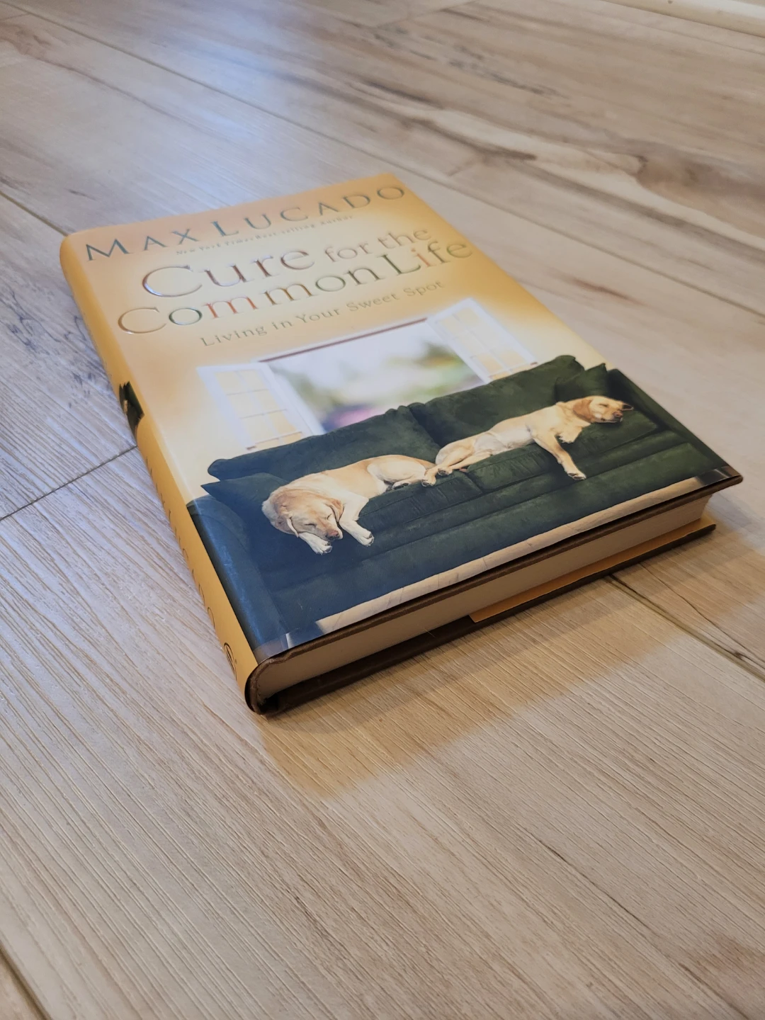 Cure for the Common Life by Max Lucado Book - photo 2