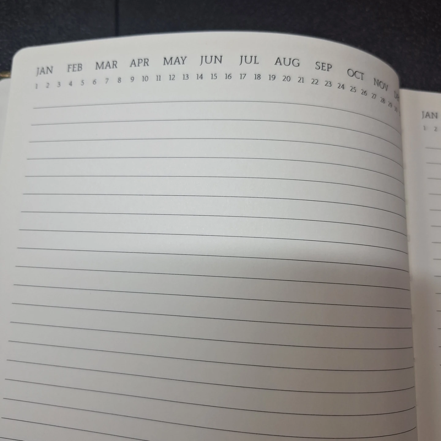 Green Leafy Pattern Notebook with Elastic Closure - photo 2