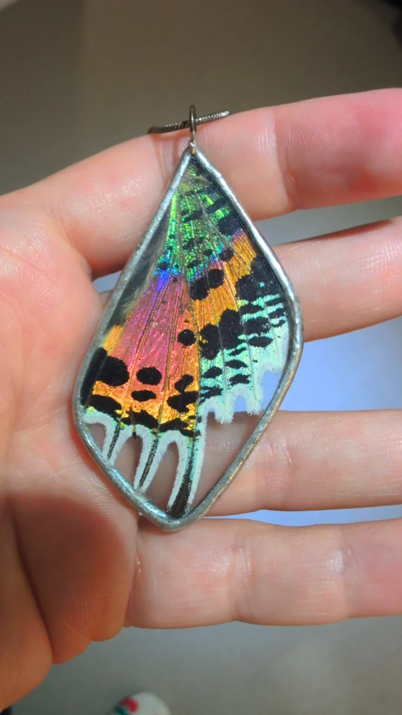 Real Butterfly Wing Pendant - photo 2