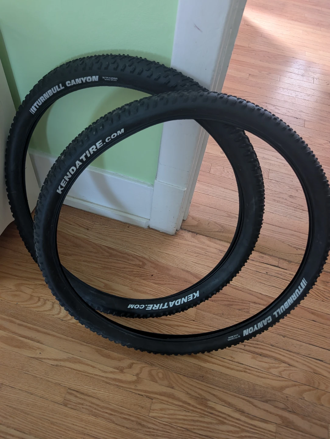 Kenda Turnbull Canyon Mountain Bike Tires (Pair)